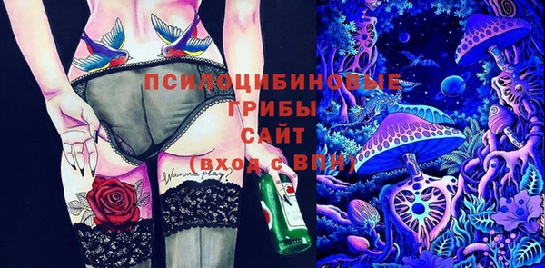 2c-b Армянск